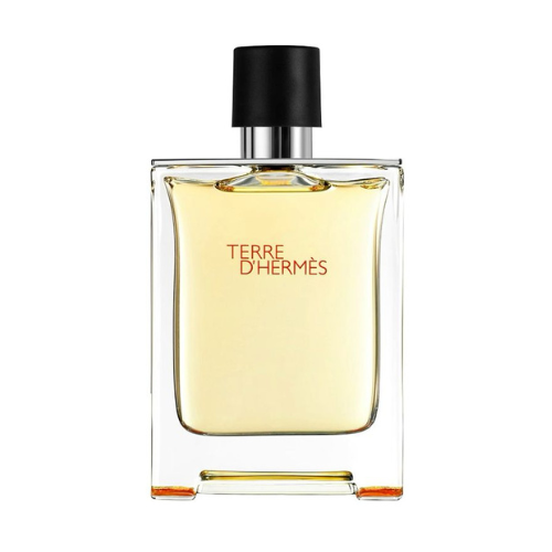 Hermès Terre d’Hermès Eau de Toilette – 100 ML (Men’s)